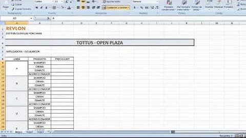 Primeros pasos en Microsoft Excel 2007 - Clase 1 y 2