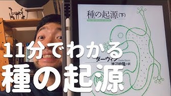 ダーウィン Youtube