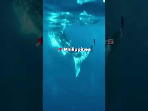 Discover the Philippines