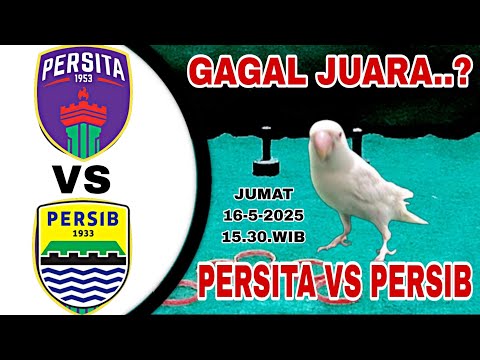 aaaspin x hmn777 - Persita Tangerang Vs Persib Bandung || Menuju Juara Liga 1 2025 || Prediksi Jitu Versi Arjuna