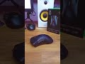 Budget Mouse Gaming ala #Razer ?