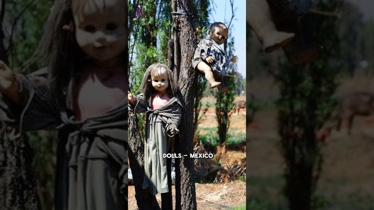 Island of the Dolls: Mexico’s Haunted Island Where Dolls Blink and Whisper at Night