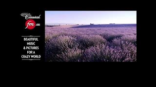 The New Classical FM Live Stream screenshot 4