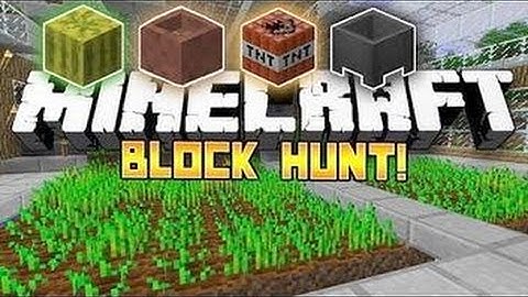Mineplex (Block hunt) No audio