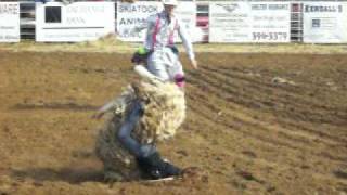 Skiatook Usa Sheep Riding