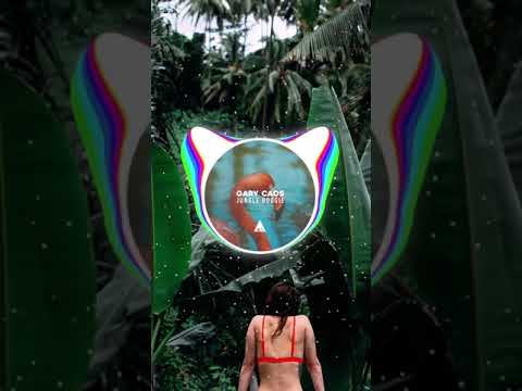 Gary Caos - Jungle Boogie