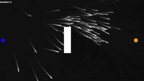 Genetic Path Finding Algorithm