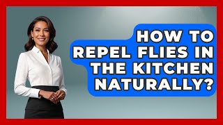 How To Repel Flies In The Kitchen Naturally? - Insects and Invaders