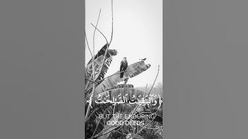 ﴿ الْمَالُ وَالْبَنُونَ زِينَةُ الْحَيَاةِ الدُّنْيَا ۖ }•سورة الكهف🌱القارئ احمد العجمي