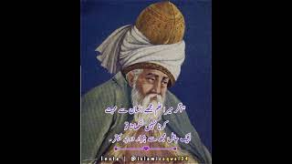 Molana Jalal Uddin ROMI Quotes || Islamic Aqwal || @islamicaqwal24