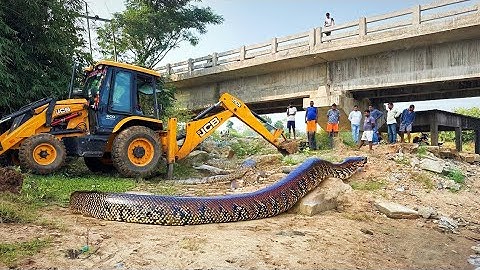 JCB 3dx Backhoe Maschine loading mud In Mahindra 475 Di tractor JCB khudai Mud #jcb #jcb3dxmachine