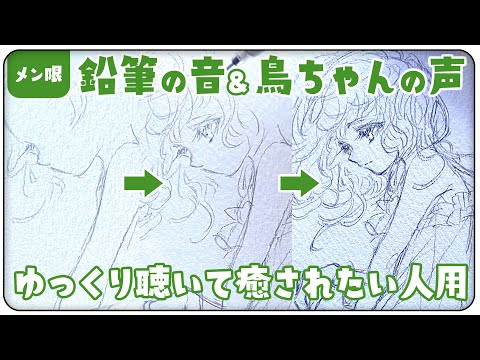 【メン限】🌳鳥ちゃんの声を聴きながらシャーペンで天使さんを描くメイキング🎨🦜 #asmr #illustration