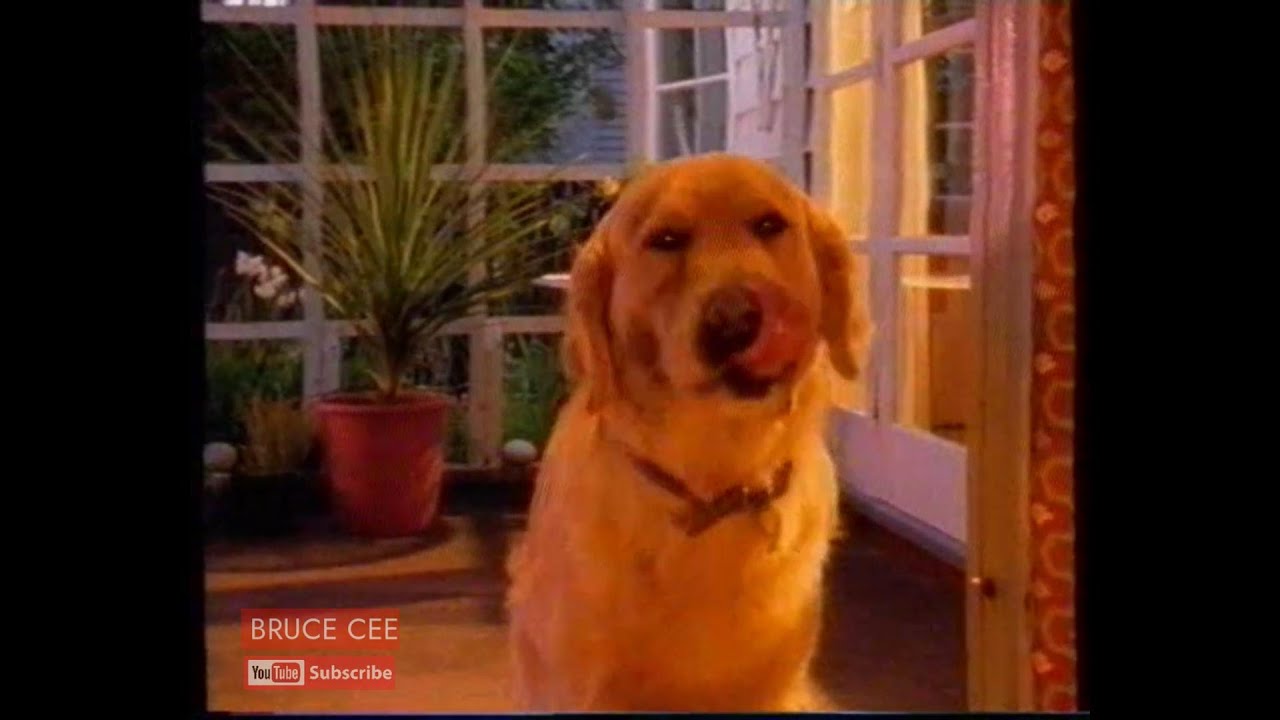 1999 Advert, Tux Dog Food NZ (VHS) YouTube