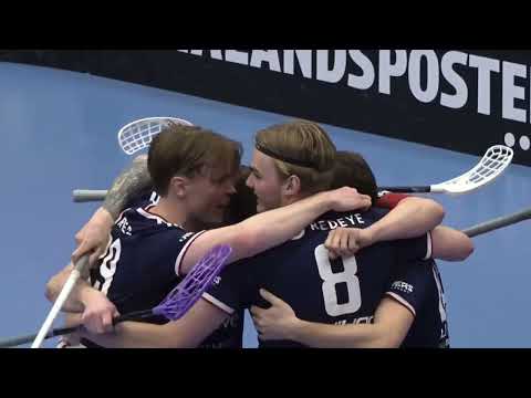 Växjö Vipers vs