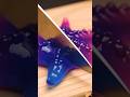 Satisfying Starfish Cutting ASMR 🐚✨ | Relaxing Crunchy Sounds