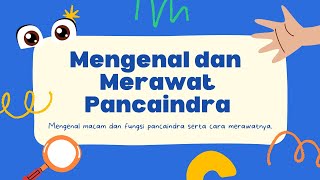 Panca Indera - Fungsi dan Cara Perawatannya #pancaindera #bagiantubuh  #perawatan #bagiantubuh