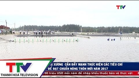 Huyện Quảng Xương cần đẩy mạnh thực hiện các tiêu chí để đạt chuẩn Nông thôn mới năm 2017