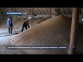 Кадры работы крымского зернохранилища «Красногвардейский элеватор»