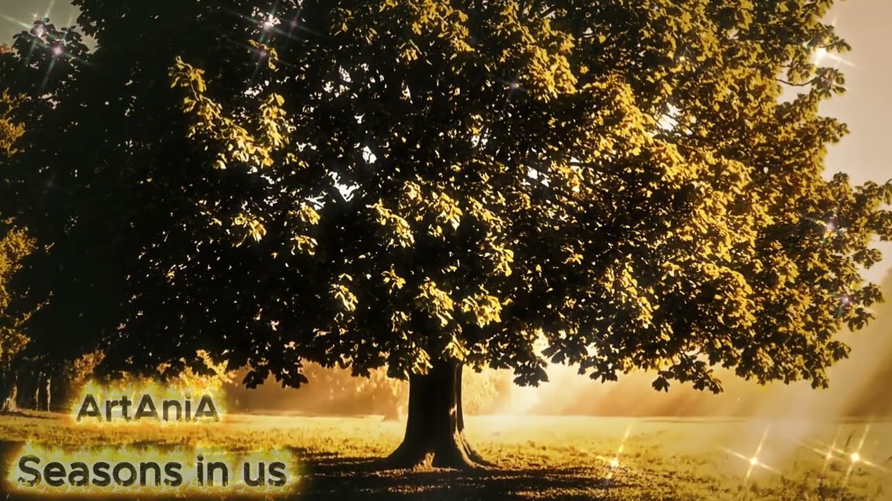 ArtAniA - Seasons in us