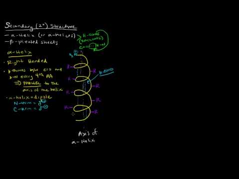 Protein Structure (Part 2 of 4) - Secondary Structure - Alpha Helix