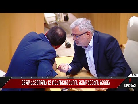 ევროკავშირის 12 რეკომენდაციის შესრულების გეგმა
