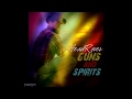 Heartrover guns  spirits