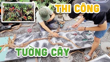 Quá Trình Thi Công Tường Cây Rừng Cho Nhà Phố | Nam Ngô