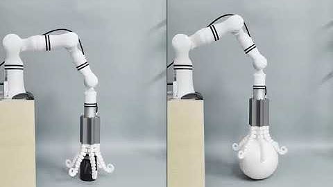 ❗SpiRobs Inspired by Logarithmic Spirals❗