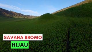 SAVANA BROMO HIJAU !! Longrange pakai Drone menyusuri Padang SAVANA BROMO