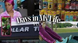 Vlog | Garden Update // New Pajamas// Amazon Hauls & More #vlogs #over50 #content #lifeafter50