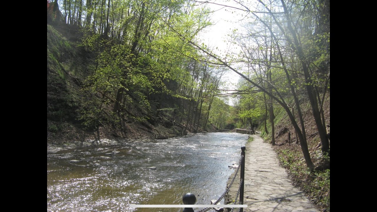 Considering Hope: Through Nature.