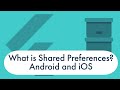 An Introduction to Shared Preferences in Flutter: Android and iOS