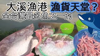 【宜蘭頭城大溪漁港】是全台灣最多的漁貨天堂之一嗎