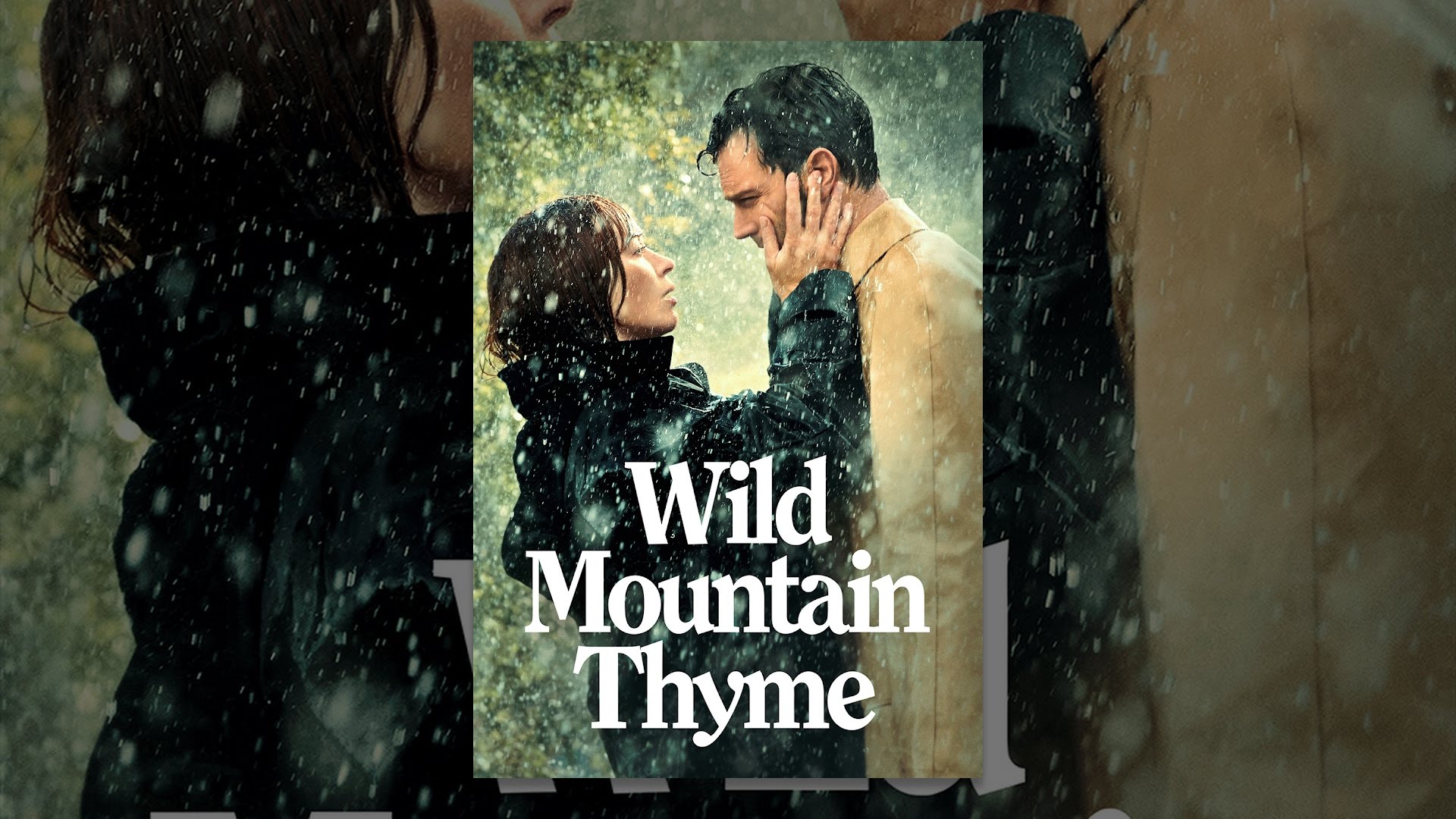 WILD MOUNTAIN THYME