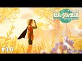 【実況】広がる世界の、ティアーズオブザキングダム # 10【ゼルダの伝説】