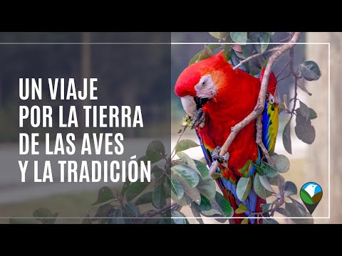 Descubre la riqueza natural y cultural del occidente hondureño: la tierra de las aves y la tradición