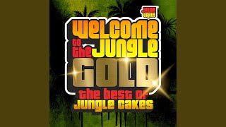 Settle Down (Riddim Punks Remix - Mixed)
