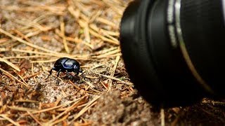 Advanced  Photography  Techniques