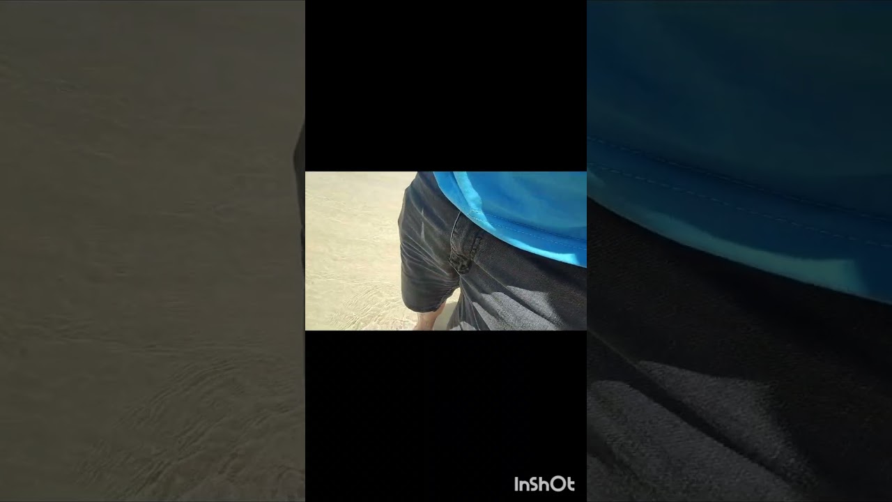 Tava na praia e encontrei uma água viva