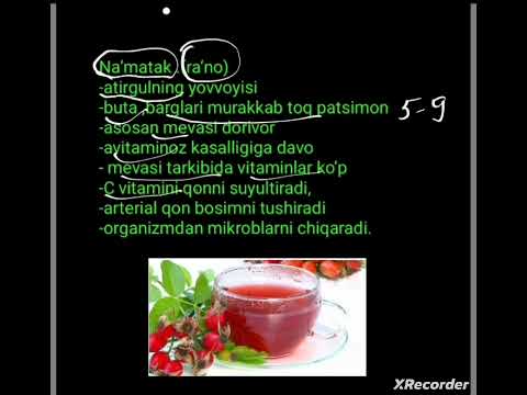 11-dars. O'zbekistondagi dorivor