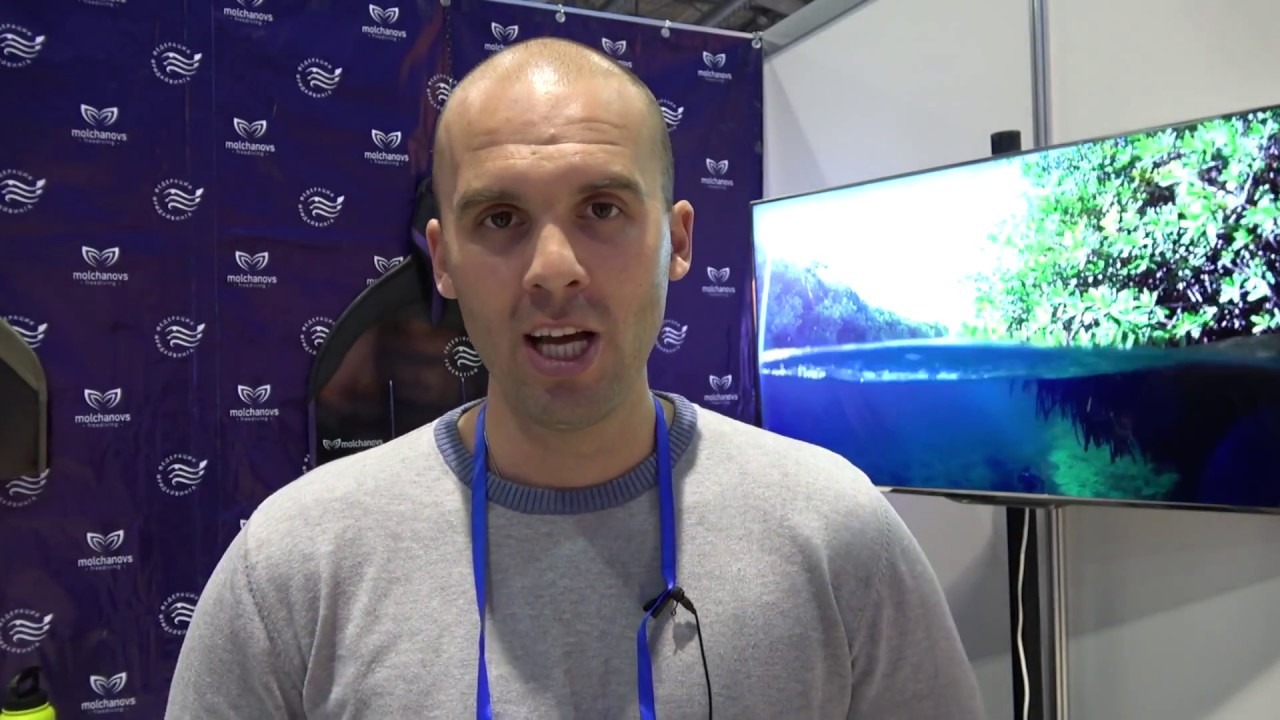 Школа обучение фридайвинг Алексея Молчанова Molchanovs - YouTube