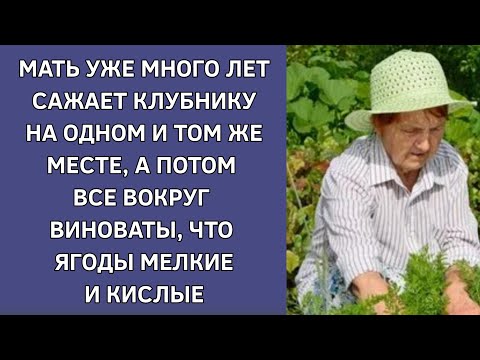 Мать сажает клубнику на одном и том же месте, а потом все вокруг виноваты, что ягоды мелкие и кислые