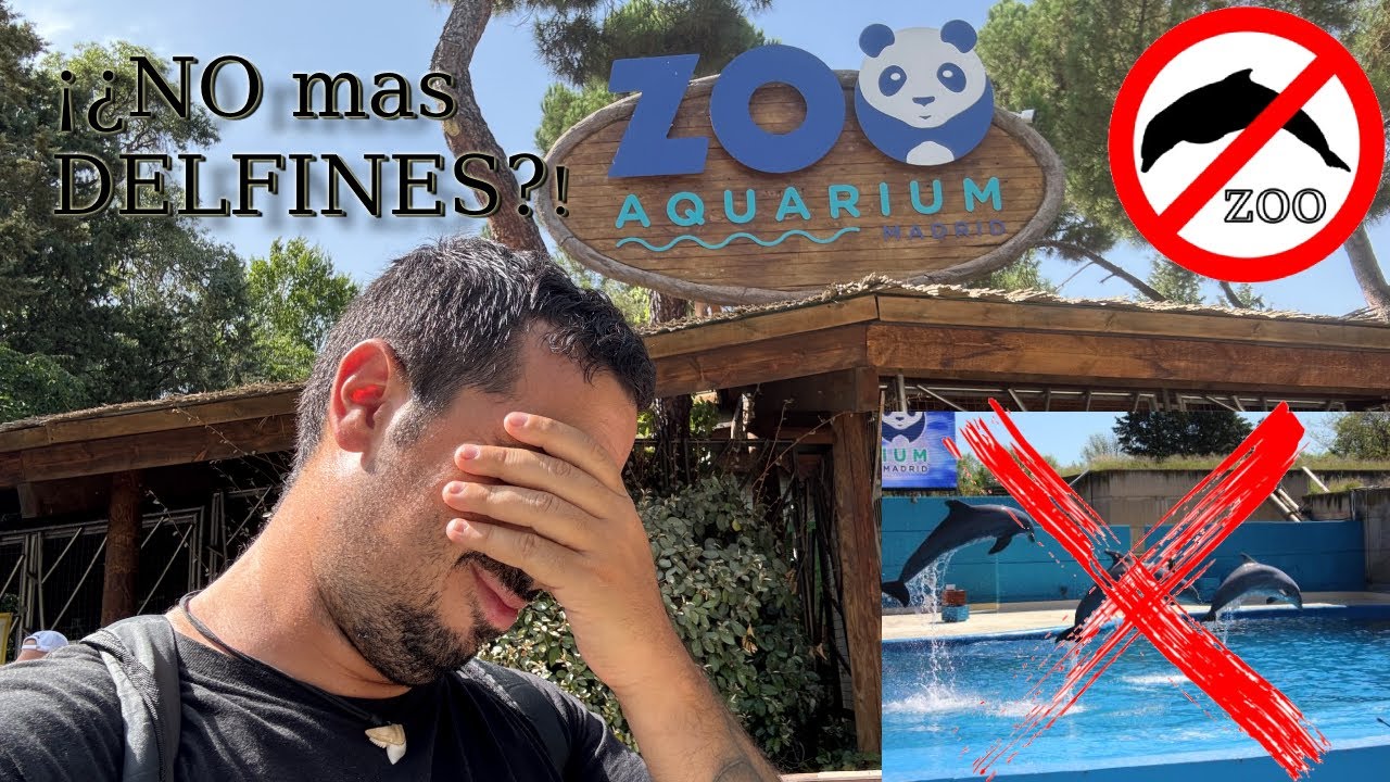 Zoo Aquarium de Madrid 2025 - ¡¿NO mas DELFINES en el ZOO Aquarium de Madrid?! - Vlog Aquarium y etc