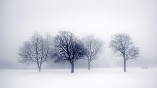 Winter Scenes Slideshow