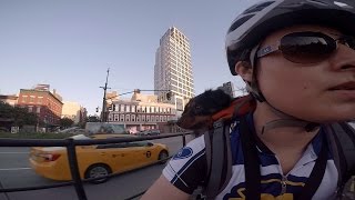 Biking New York City With My Dog / Riverside Park / Hudson Greenway (Filmed On Gopro Hero 4 Silver)