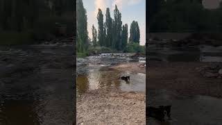 Snowy River Holiday Park