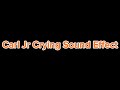Carl Jr Crying Sound Effect THIS AUDIO IS USED BY Veronica Ap PA DAY 4 