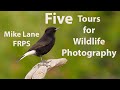 Five hotspots for wildlife photography.