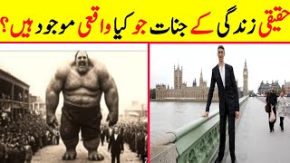 Real Life Giants That Really Exist