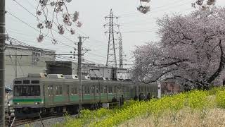 2019 04 07 大麻生駅で桜と電車